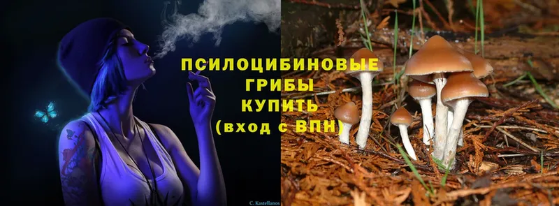 Псилоцибиновые грибы MAGIC MUSHROOMS  кракен   Алзамай 